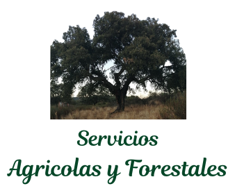 Servicios Agrícolas y Forestales